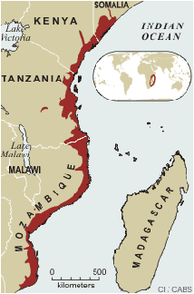 Map of Coastal Forest Areas of East Africa - Conservation International